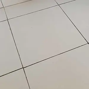 Training Bell Mainan Bel untuk Memanggil Hewan Peliharaan Kucing Anjing Bel Latihan Hewan Bahan Plastik dan Besi