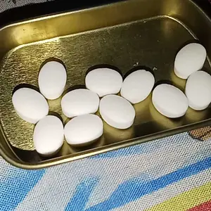 KissCam Permen Mint Bebas Gula HALAL BPOM Banyak Variant Rasa Import Bikin Nafas Segar Tidak Bau Yamamoto Kawahiro Fruit Mint Candy 16g