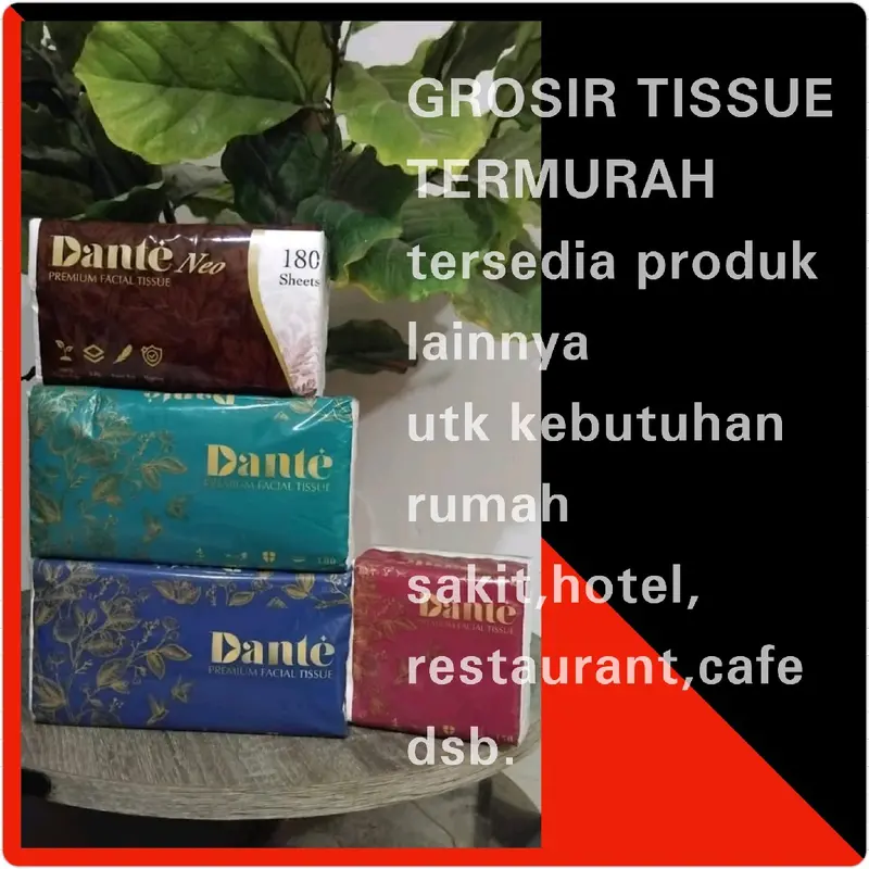 TISSUE DANTE TERRRMURRAAHHH berkualitas tinggi dan halus serta kuat 1
