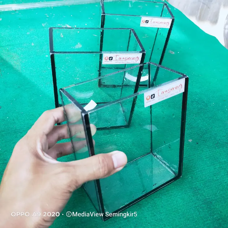 Soliter Ikan Cupang 12x07x15cm aku ari 0