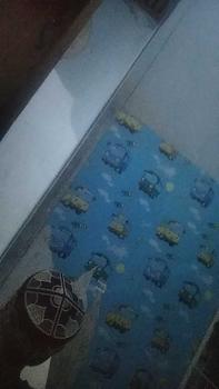 Product Review of Kerpus Proyek I Kerpus Welder I Sebo [Pendek] from F**a R** 0