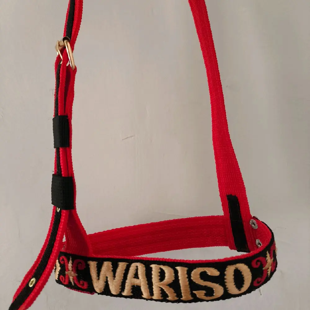 Brangos sapi dengan yang ada namanya boleh request nama sesuai dan warna kalung