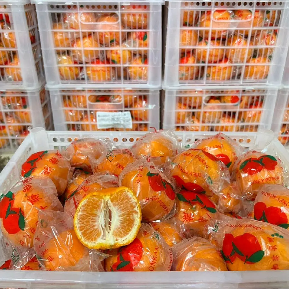 Jeruk Honey Ponkham 1 Kg - Buah Segar Kualitas Terbaik - Makanan, Frozen, Anggur, Zuriat