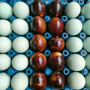 Telor asin 6 butir original dan bakar asli Brebes telor asin Masir asli telor bebek