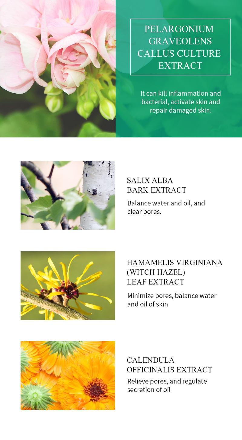 Product Introduction of BREYLEE Tea Tree Oil Blackhead Mask Pore Refining Serum Facial Blackhead Treatment 17ml Skincare Comfort 7