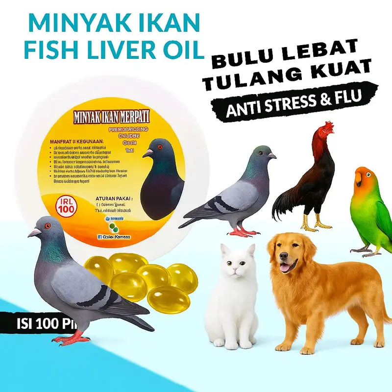 MINYAK IKAN  FISH LIVER OIL BURUNG DAN KUCING  KEMASAN 100 BUTIR Fish Oil untuk Kesehatan Kulit dan Bulu, Daya Tahan Tubuh, Kesehatan Jantung, Mengatasi Bulu Rontok 1