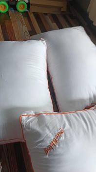Product Review of 2 Bantal dan 1 Guling Nicoking Mewah Bantal Guling Tidur Kepala Premium Hotel Exlusive Luxury Mewah Lembut Tebal Terbaik Bukan Brendis from Q**a H**3 0