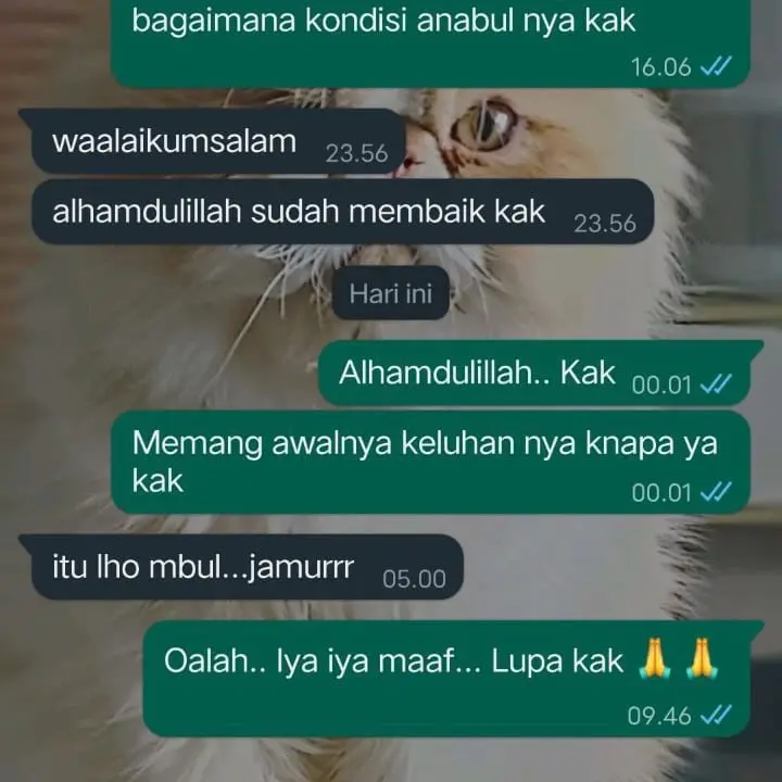 PAKET BOOSTER EMBULL ||Bulu super lebat || 90% atasi rontok || anabul sehat || kucing dan anjing || madu 5