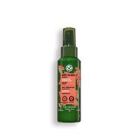 Gambar Yves Rocher Serum Repair Anti-Breakage Fortifying 100 ml - Organic Jojoba Oil - Mengurangi Resiko Rambut Patah dari Yves Rocher Indonesia Kota Administrasi Jakarta Utara 2 Tokopedia
