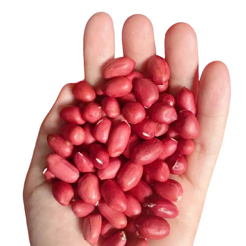 2Kg LẠC ĐỎ, đậu phộng đỏ, thơm ngon, bùi ngậy