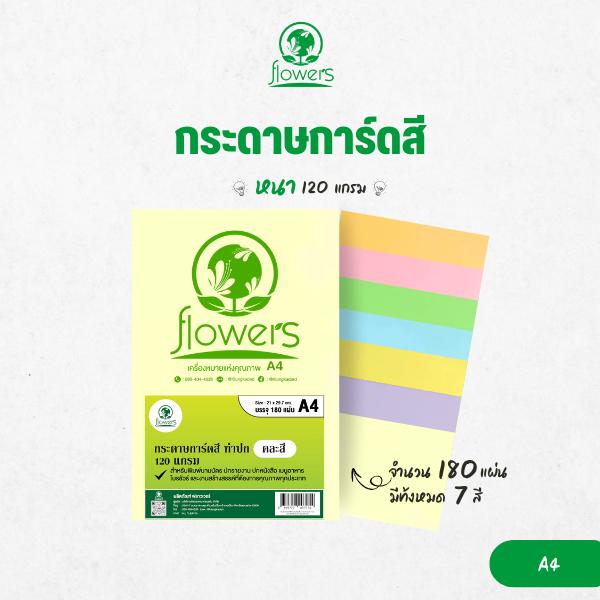 กระดาษการ์ดสี A4 flowers 120 แกรม คละสี (180 แผ่น)