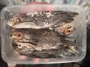 Wadi Ikan Papuyu/Betok Asli Kalimantan tersedia dalam ukuran bervariasi, Ikan betok yang difermentasi dengan rasa yang khas dan unik.