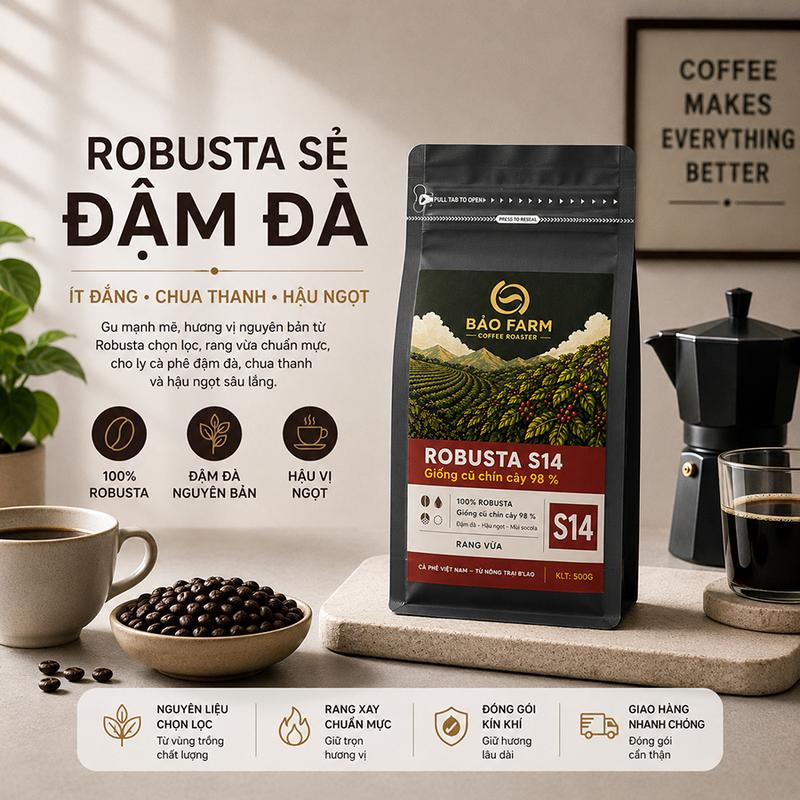 Cà phê Bảo Farm No6 – Robusta sẻ B’Lao S14