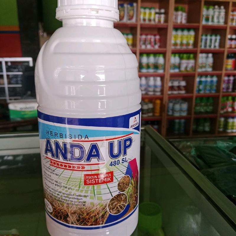 Obat rumput mati permanen ANDAUP 480SL 1000ml Tanaman 1