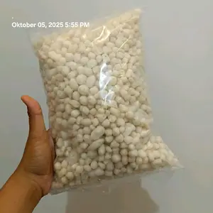 PILUS KLETUK KHAS TEGAL ENAK GURIH