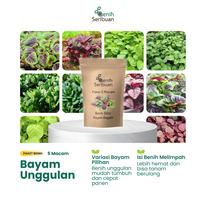 Gambar Benih Bayam Paket 5 Macam Bibit Sayuran Bayam Hijau Merah Sayur Unggul - PK 5 BAYAM dari Benih Seribuan Kab. Boyolali 3 Tokopedia
