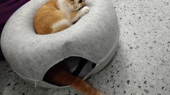 Product Review of Cat Tunnel Bed Toy Cat Tunnel Donut Pet Tunnel Bed Donut Cat Bed Cat toys cat donut tunnel from l**y 1