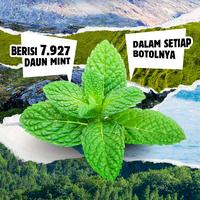 Gambar Paket Wangi Maksimal - Original Source Body Mist Vanilla & Raspberry 100ml + Original Source Body Wash Mint & Tea Tree 250ml dari CussonsID Kota Administrasi Jakarta Barat 4 Tokopedia