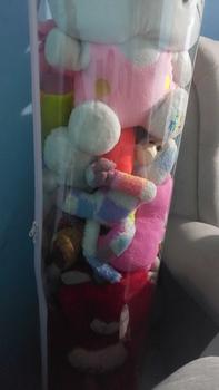 Product Review of [COD] Tidy Tribe Hadiah Doll Storage Bucket Gaya Ritsleting Transparan Tabung Storage Boneka Dengan Penutup 90/120/150CM Penyelenggara Berkapasitas Besar Dudukan Doneka from l**w 1