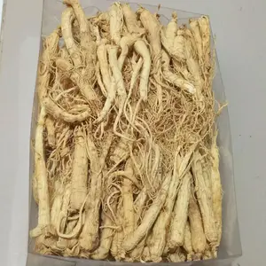 Ginseng putih kering 100gram pasti premium pegunungan chang bai ren shen china untuk kesehatan herbal alami