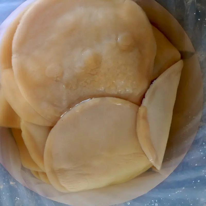 Scoby Kombucha Reseller isi 5 Scoby ukuran lebar +- 20×12×0.5cm, bisa memproduksi teh kombucha sebanyak +-20Liter dalam sekali proses, GARANSI 100% diganti baru jika proses pembuatan scoby gagal, berjamur atau tidak berkebang biak..BUKTIKAN !! 6