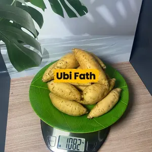 UBI MADU CILEMBU MINI 1000 gram isi 15-20 biji Makanan Sehat Cocok untuk Rebus Kukus atau Oven Teman Teh Kopi atau Diet - Food