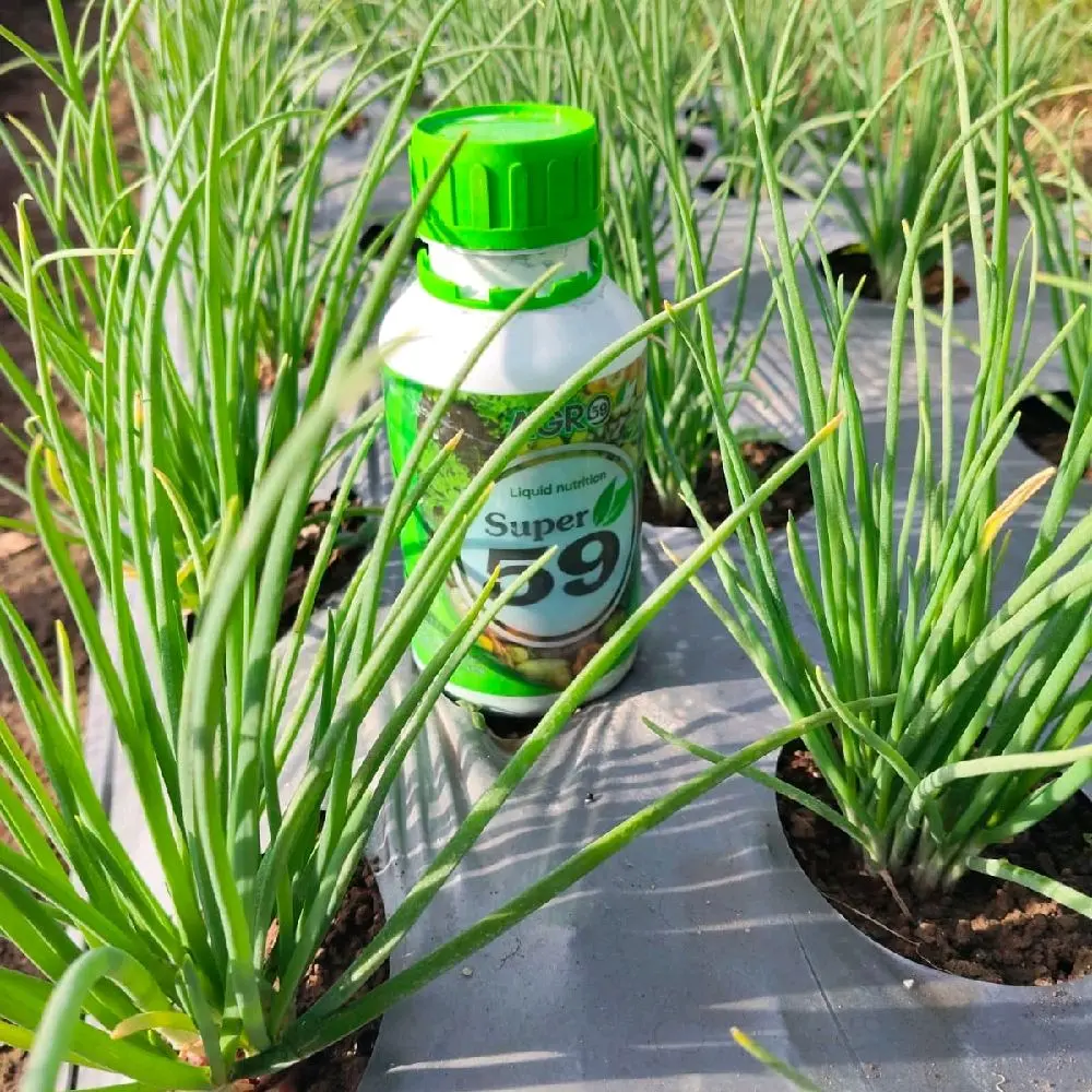 Agro Super 59 - Produk Pertanian untuk segala Tanaman