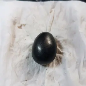 Batu telur koclak warna hitam ornamen fengsui