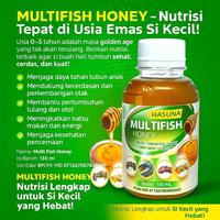 Gambar Suplemen Kecerdasan Anak dan Napsu Makan Anak , Madu Multifish Hasuna - 130 ml dari A O STORE Kab. Gresik 2 Tokopedia