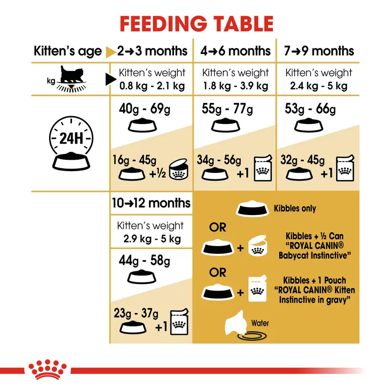 ROYAL CANIN KITTEN PERSIAN 2 KG DRY MAKANAN ANAK KUCING - START OF LIFE 4