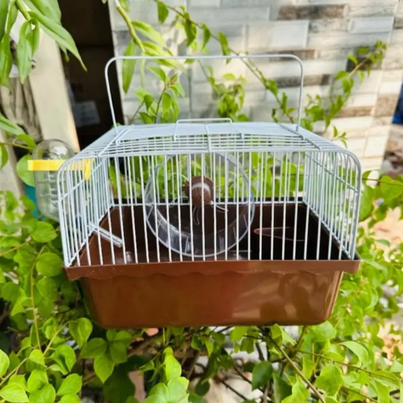 ￼Lồng hamster - Lồng KHAY CAO MÀU, lồng mini full phụ kiện, lồng ngũ sắc hamster 5