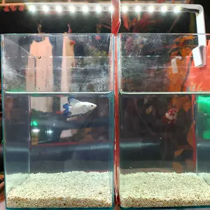 Lampu Akuarium Lampu LED Soliter Cupang Lampu LED Mini Aquarium Lampu