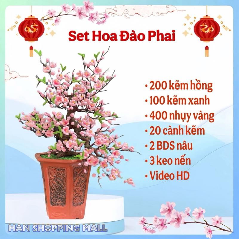  Bộ nguyên liệu làm hoa ĐÀO PHAI từ kẽm nhung DIY Decor Decor Phòng 