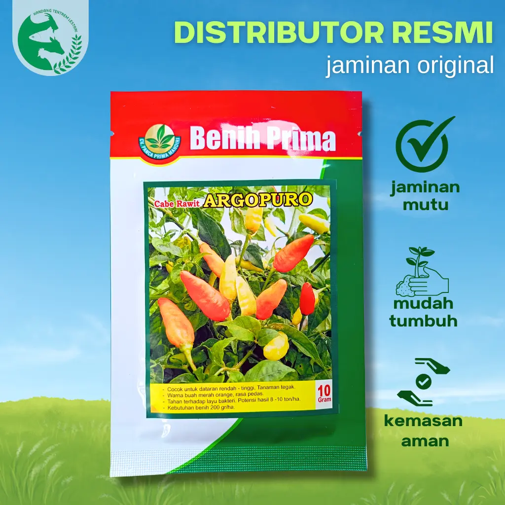 Cabe Rawit Setan Tegak 10 gram AGROPURO can Benih Prima Pedas Lebat Unggul