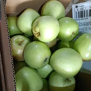 APEL MALANG JENIS MANALAGI SEKILO ISI 25-27 BUAH