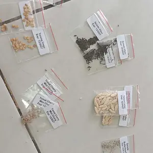 Bibit Sayuran Unggul Termurah Berkualitas Super Benih Tanaman Sayur Hidroponik Murah Seribuan Kangkung Sawi Selada Cabe Rawit Terong Tomat Bayam Timun Bawang dll