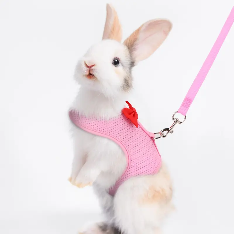 Bow Design Rabbit Harness With Leash, Adjustable Breathable Rabbit Harness, Pet Supplies For Indoor and Outdoor Walking, Small Animal Supplies 0