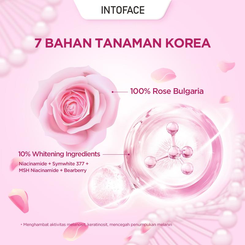 INTOFACE MSH 10% Niacinamide Brightening Moisturizer Cream B3 B5 Smywhite 377 Day & Night Cream Whitening Glowing Moisture Gel Pemutih Wajah krim pelembab pemutih Krim untuk kulit sensitif 30g 2