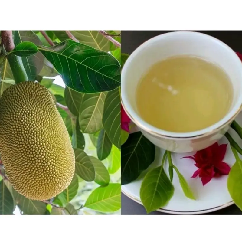 Buah Babal/Tongtolang 50gr - Nutrisi dan Antioksidan untuk Kesehatan Pencernaan 3
