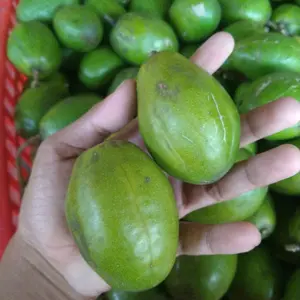 kedodong lokal untuk rujak fres seger