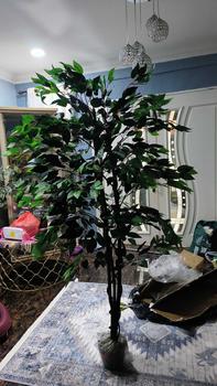 Product Review of NEW! Premium Artificial Ficus Banyan Tree Fejka /  Artificial Weeping Fig Plant / Pokok Hiasan rumah ruang tamu outdoor Viral / 175cm home office deco from r**u 0