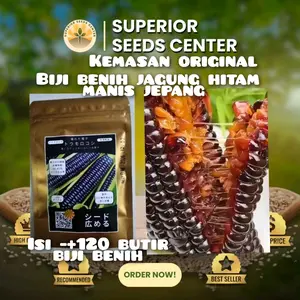 kemasan original 120 butir biji benih tanaman jagung manis hitam jepang f1