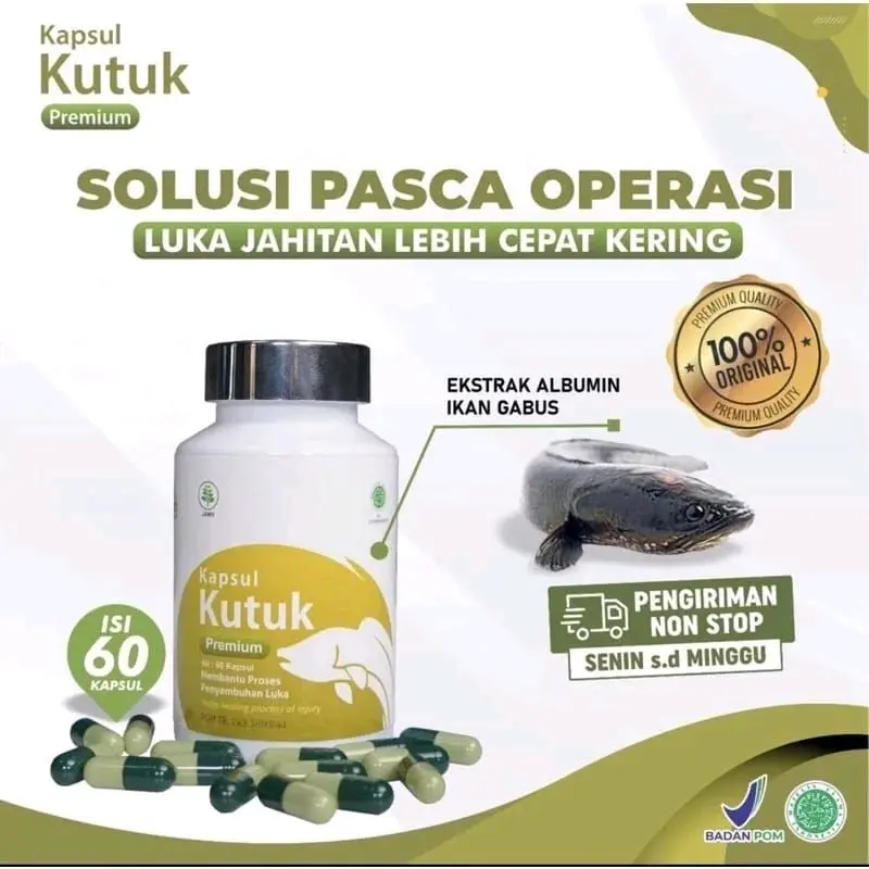 Kapsul Kutuk Premium 100% Original Ekstrak Ikan Gabus Untuk Penyembuhan Luka Pasca Operasi Dan Kebutuhan Albumin