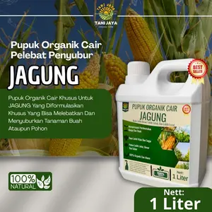 Pupuk Jagung Pembesar Buah Booster Jagung Cepat Berbuah Lebat Dan Besar Mempercepat Pertumbuhan Buah