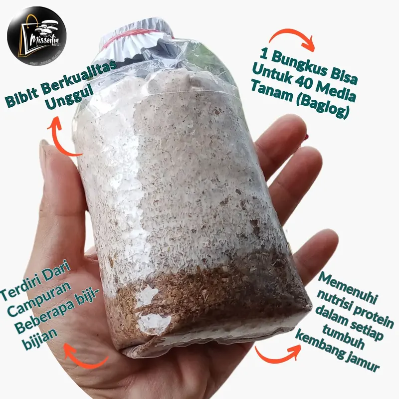 Bibit Jamur Kuping Hitam f2 siap tanam ke media tumbuh Benih jamur komposisi dedak  Padi dan Jagung bibit jamur tiram serbuk tabur benih jamur tiram gratis kayu Sayur beli 7
