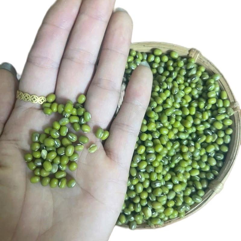 2 kg đậu xanh nguyên hạt thuần chủng - đỗ mỡ chuyên làm sữa hạt bột ngũ cốc nấu chè nấu cháo làm giá hạt nhỏ tỉ lệ nảy mầm 100%