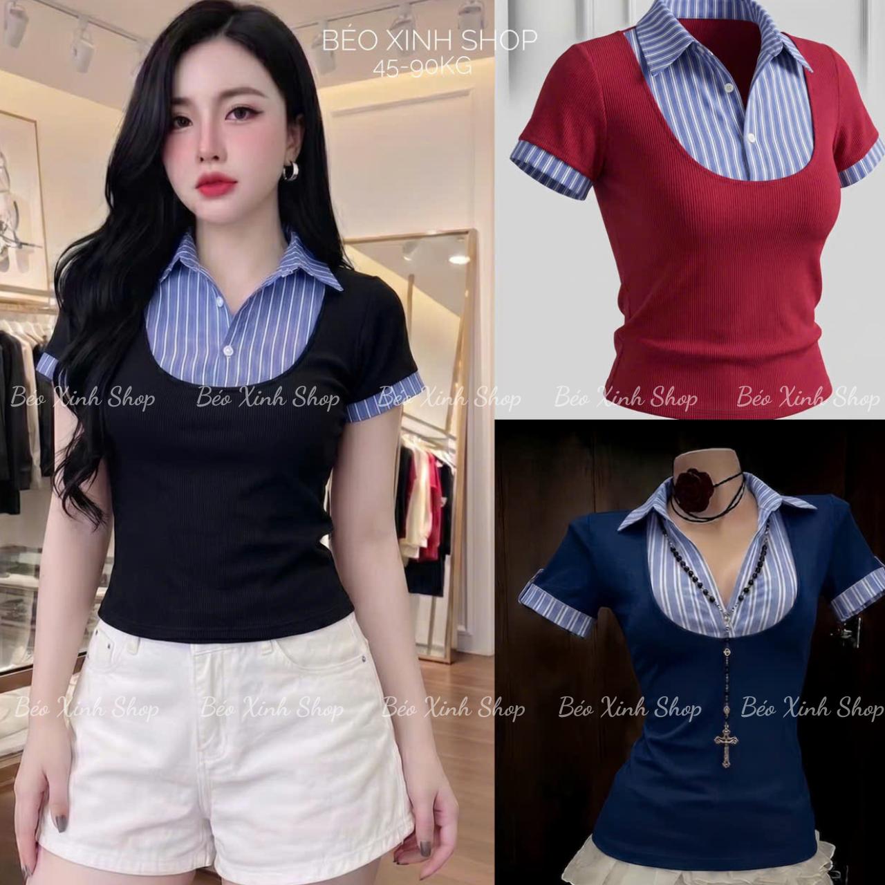 Thời Trang Bigsize Áo Thun Polo Phối Sọc Cotton Cao Cấp Thanh Lịch Vải Thun Gân Tăm Bigsize Từ 45 - 90Kg Dễ Thương Top Nữ Women - B.1804