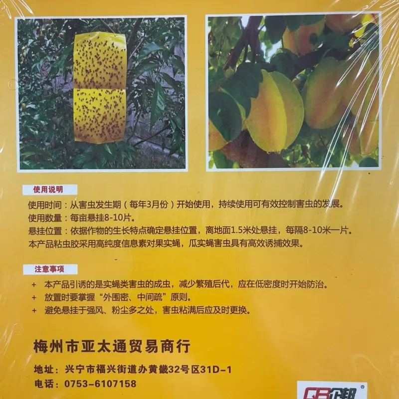 10 tấm dính ruoi vàng đục trái trên cây ăn quả 4