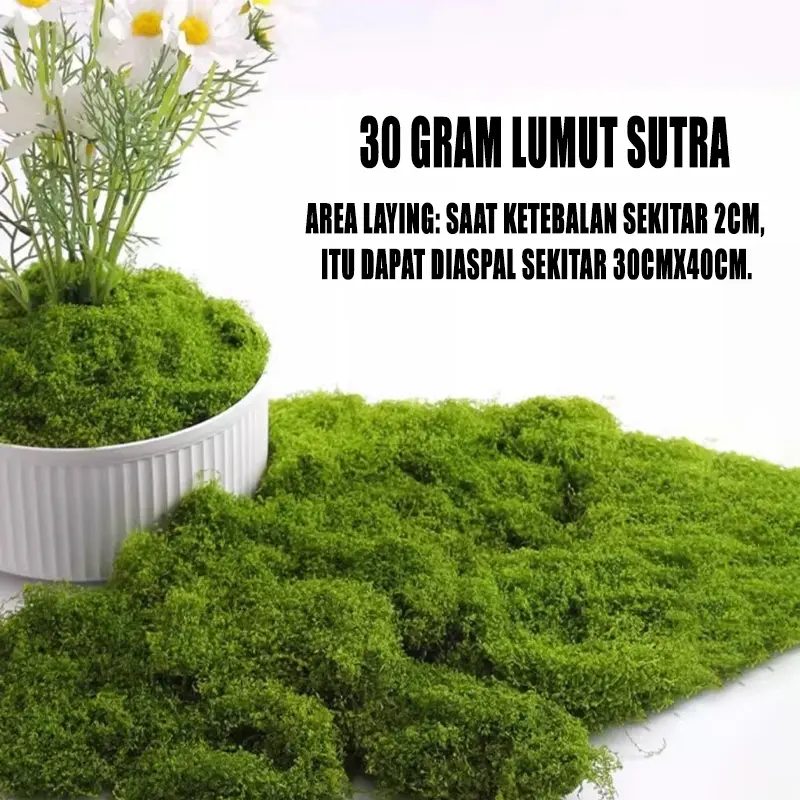Lumut Abadi Moss Dried Dekorasi lumut buatan Artificial Berat 30 Gram Lumut Palsu tanaman rumput