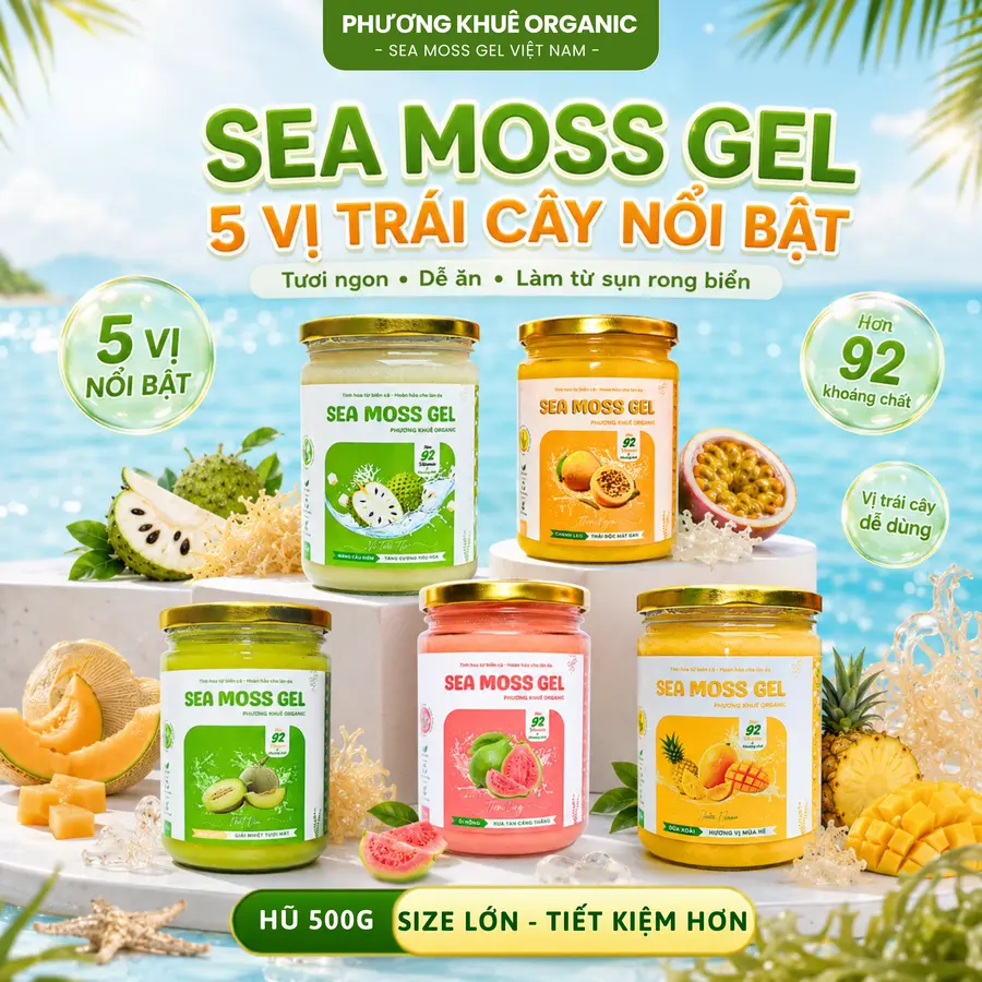 [HŨ 500ml] Sea Moss Gel Sụn Rong Biển Phương Khuê Organic Nhiều Vị Trái Cây Giàu Dưỡng Chất Từ Rong Biển Dễ Ăn, Dễ Mix Sữa Chua, Yến Mạch Granola phù hợp chế độ ăn lành, healthy